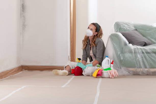 Reliable Bathroom Mold Removal contractor in Ocean Beach, NY by WQB Mold Removal